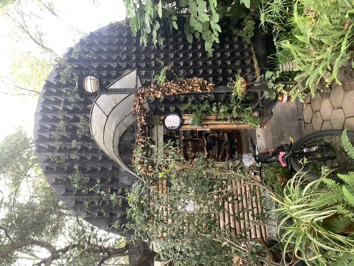 Huerto Roma Verde Temazcal