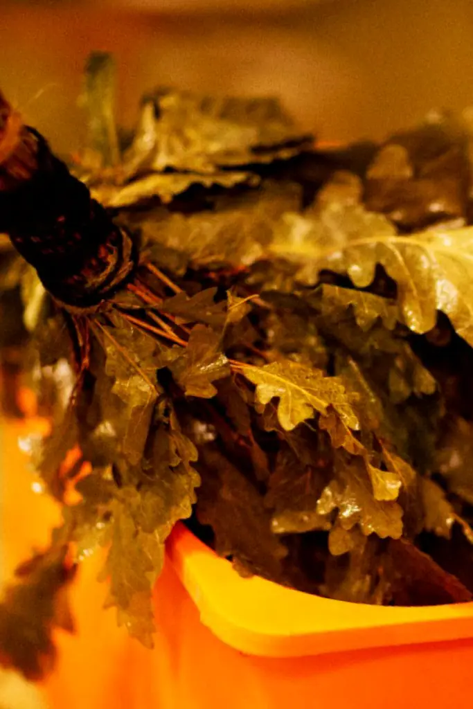 Archimedes Banya: the sauna