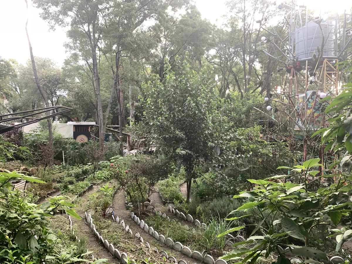 Huerto Roma Verde temazcal: the spa