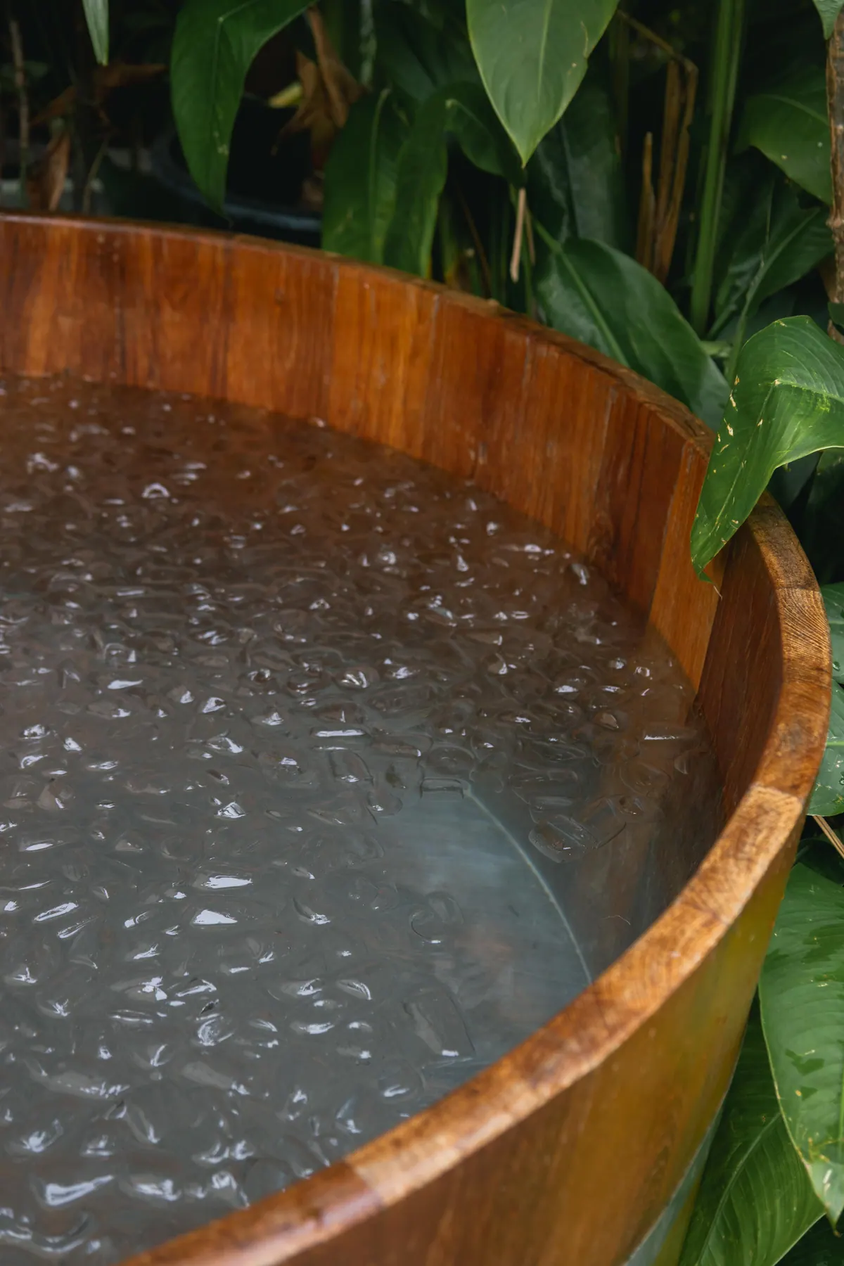 Ice House – Ice Bath & Sauna: the spa