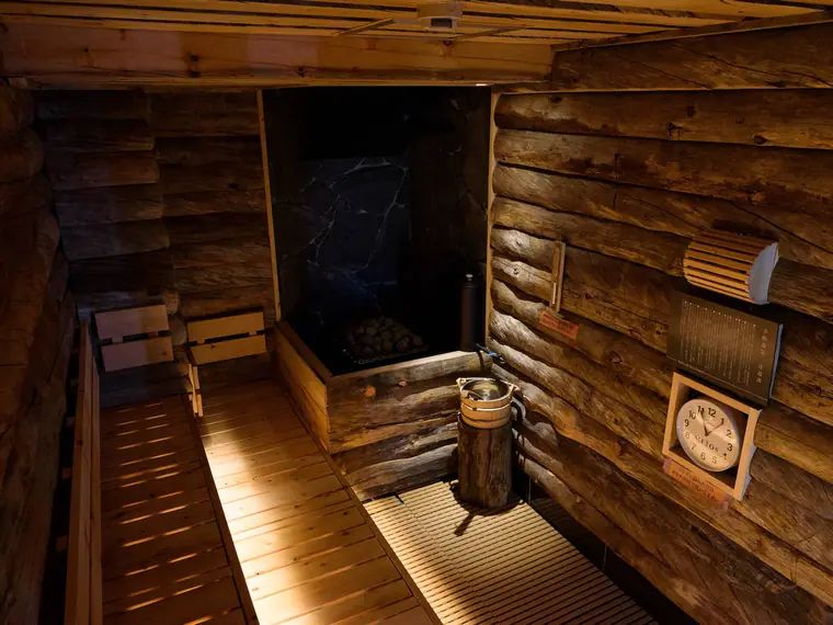 Sauna Tokyo (サウナ東京): the sauna