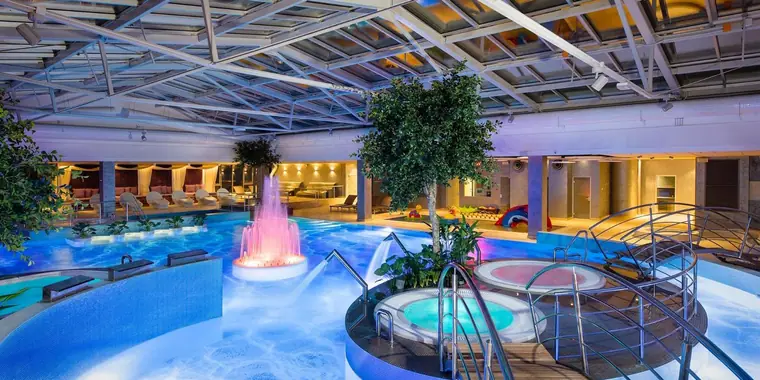 V Spa Hotel and Conference Centre: the sauna